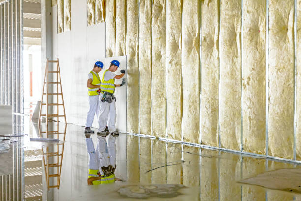 Best Attic Insulation Installation  in Vidalia, LA